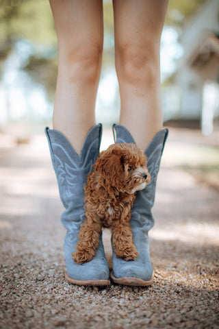 The Annie Boot - Indigo